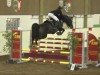 jumper Queensberry (Oldenburg show jumper, 2005, from Quidam's Rubin)