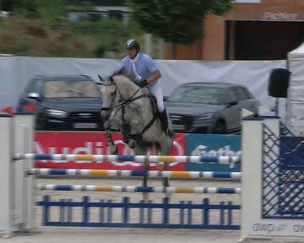 jumper Caramba 76 (Holsteiner, 2008, from Clearway)
