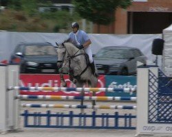 jumper Caramba 76 (Holsteiner, 2008, from Clearway)