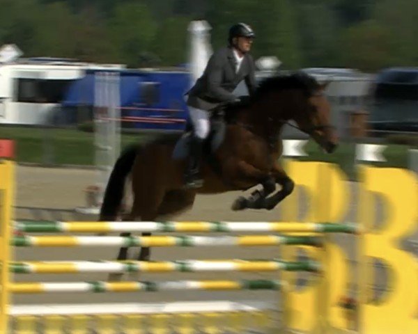 jumper Cape Town 7 (Bavarian, 2004, from Caretello B)