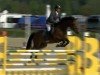 jumper Cape Town 7 (Bavarian, 2004, from Caretello B)