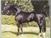 stallion His Highness (Hanoverian, 2000, from Hohenstein I)