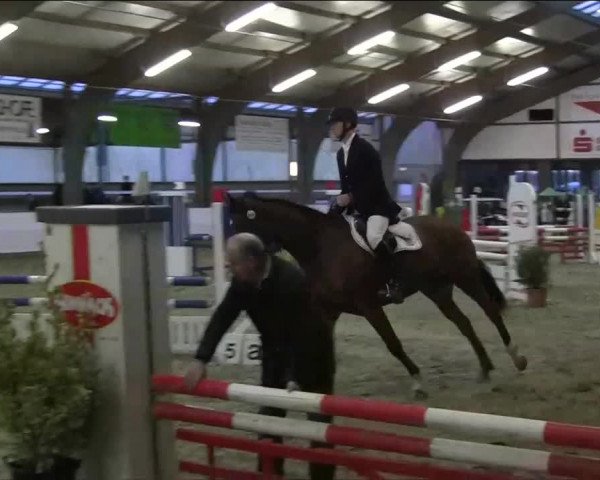 Hallenspringturnier Barlo Bocholt 2014