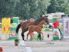 dressage horse Vaiana (Westphalian, 2021, from Von und Zu)