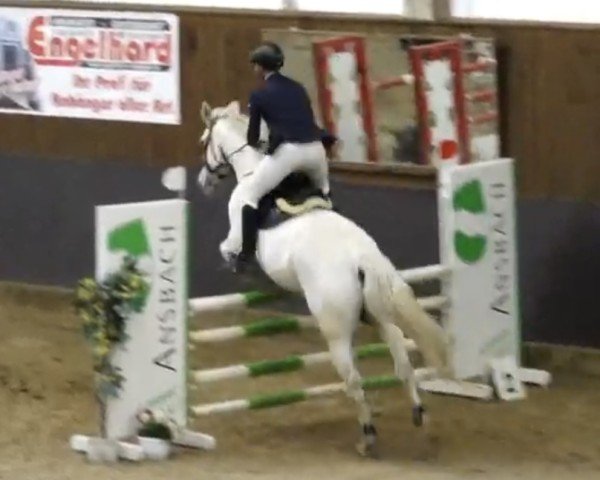 jumper Christel's Boy (Oldenburg, 2006, from Casco 4)