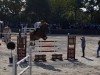 broodmare La Primavera 3 (Oldenburg, 2005, from Le Carolus)