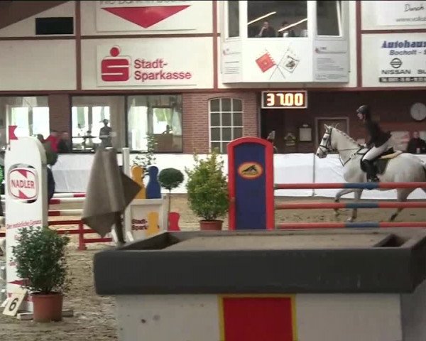 Hallenspringturnier Barlo Bocholt 2014