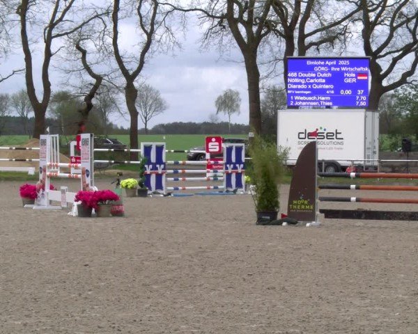 Reitturnier Elmlohe 2025