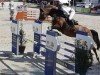 Springpferd Confiderate (Oldenburger Springpferd, 2012, von Confiance 4)