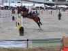 jumper Rabauke 62 (Bavarian, 2009, from Rasso Royal)