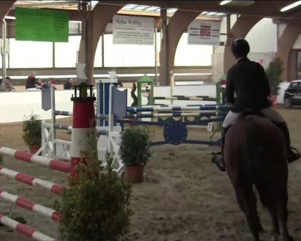 Hallenspringturnier Barlo Bocholt 2014