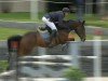 jumper Dollar Lady 2 (Bavarian, 2012, from Pacifique Enfant)