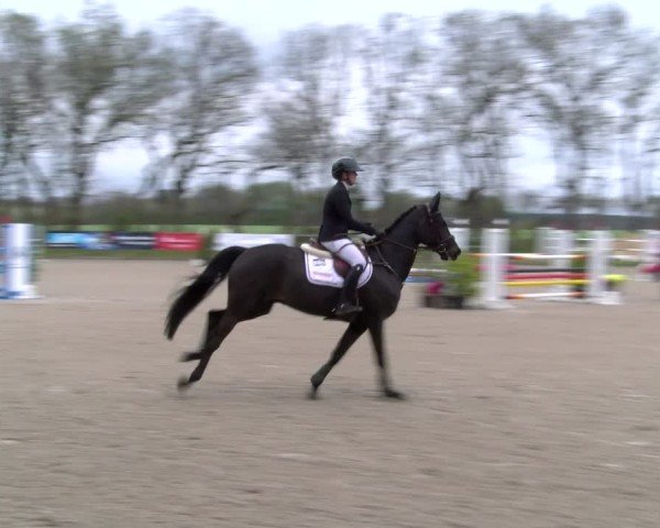 Reitturnier Elmlohe 2025
