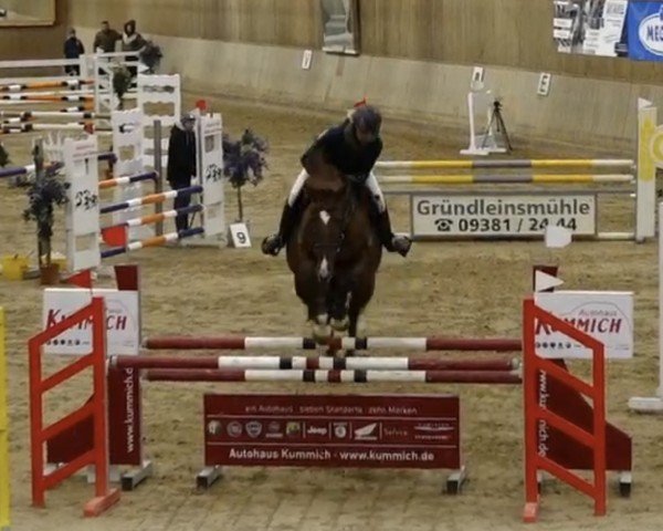 jumper Cinderella 691 (Bavarian, 2011, from Carisma 112)