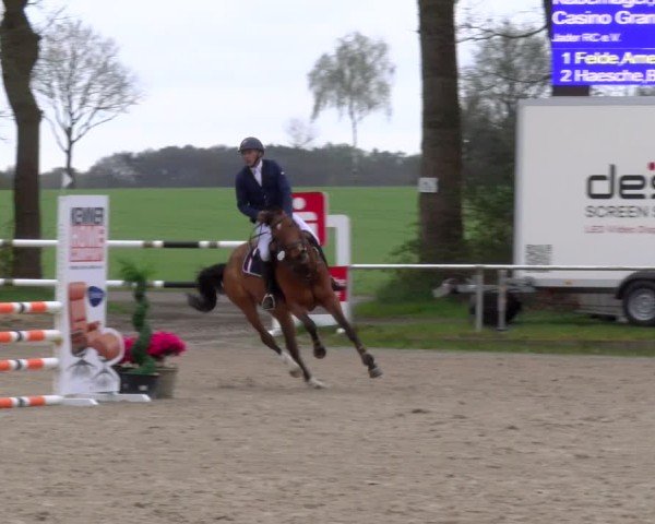 Reitturnier Elmlohe 2025