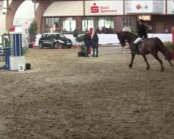Hallenspringturnier Barlo Bocholt 2014