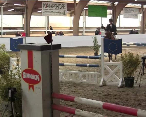 Hallenspringturnier Barlo Bocholt 2014