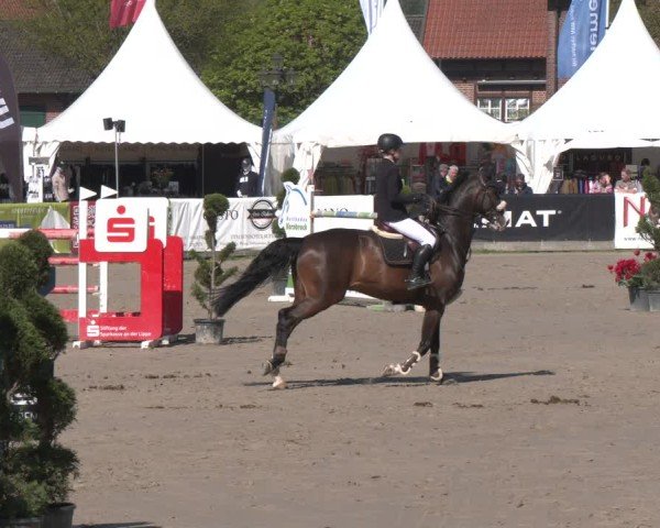 Lenklarer Reitertage Werne 2025