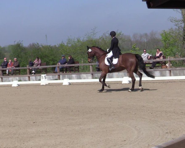 Reitturnier Scharnebeck 2025