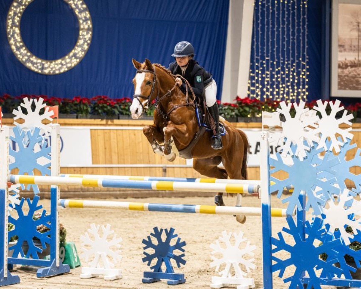 jumper Kamal van Orchid's (Dutch Pony, 2016, from Kanshebber)