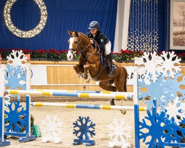 jumper Kamal van Orchid's (Dutch Pony, 2016, from Kanshebber)