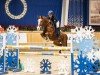 Springpferd Kamal van Orchid's (Niederländisches Pony, 2016, von Kanshebber)