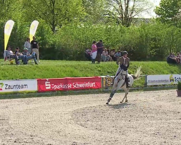 Reitturnier Grafenrheinfeld/Ufr. 2025