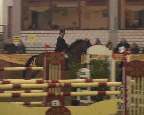 10. Emsländischer Jumping Day