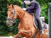 jumper Helene 22 (German Riding Pony, 2009, from Nastral-R)