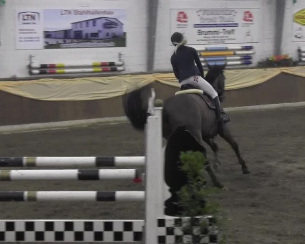 10. Emsländischer Jumping Day