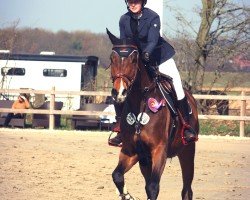 jumper Cherokee 103 (Holsteiner, 2018, from Cash and Carry)