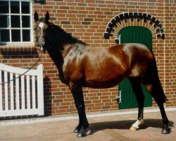 broodmare Marnie (Oldenburg, 1975, from Manolete xx)