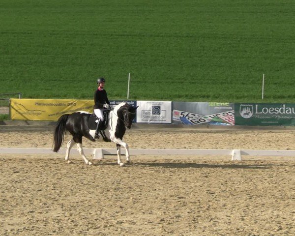 Reitturnier Duderstadt 2025