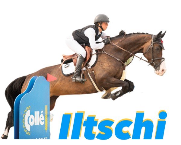 jumper Iltschi Th (Holsteiner, 2016, from Quibery 3)
