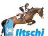 Springpferd Iltschi Th (Holsteiner, 2016, von Quibery 3)
