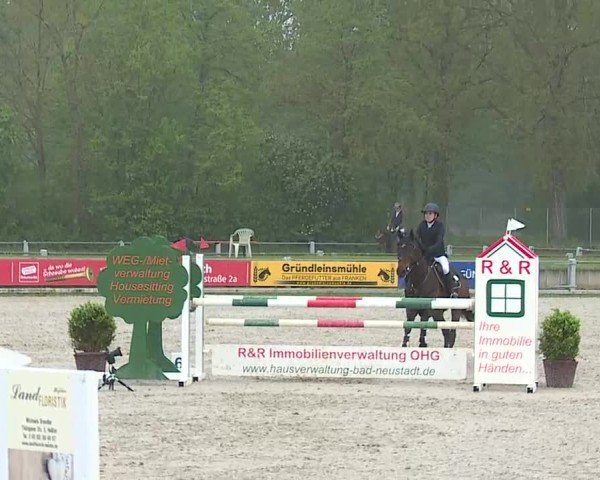 Reitturnier Grafenrheinfeld/Ufr. 2025
