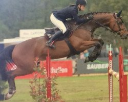 jumper Checker 10 (Hanoverian, 2005, from Contendro I)