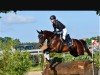 dressage horse Skira 3 (Oldenburg, 2012, from Shamane)