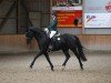 dressage horse Fürst Filomeno (Oldenburg, 2012, from Fürstenball)