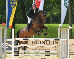 Springpferd STELLA B (Deutsches Sportpferd, 2014, von Cascadello II)