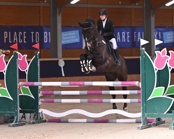 jumper Lebensgeist (Austrian Warmblood, 2018, from Lebenstraum)