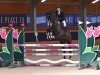 jumper Lebensgeist (Austrian Warmblood, 2018, from Lebenstraum)