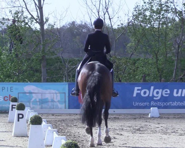 Reitturnier Scharnebeck 2025