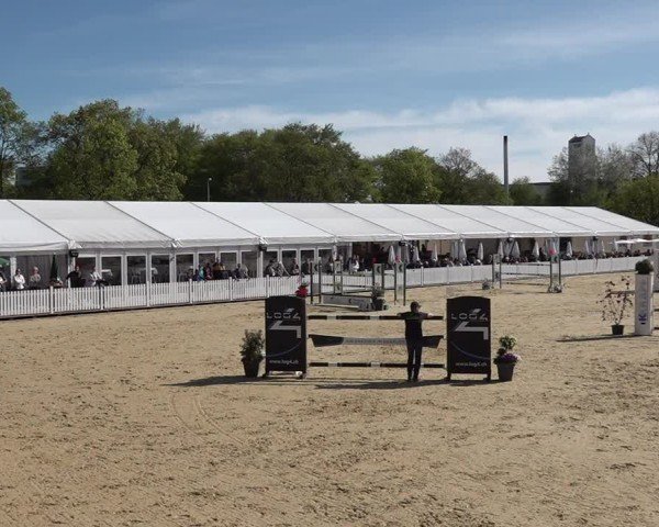 Reitturnier Amriswil 2025
