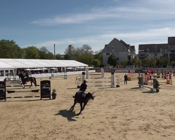 Reitturnier Amriswil 2025