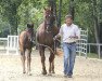 dressage horse Feine Feodora B (Westphalian, 2017, from Fürst von Soest)