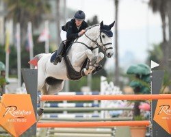 Springpferd Classe 2 (Holsteiner, 2011, von Clearway)