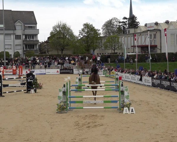 Reitturnier Amriswil 2025