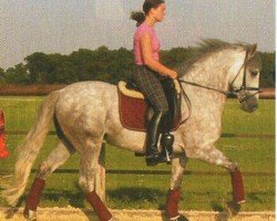 dressage horse Ebano 9 (Pura Raza Espanola (PRE), 1996, from Mercenario VIII)