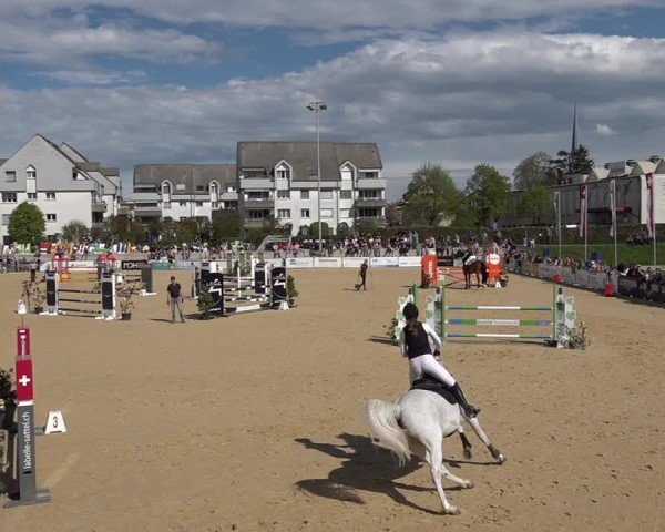 Reitturnier Amriswil 2025